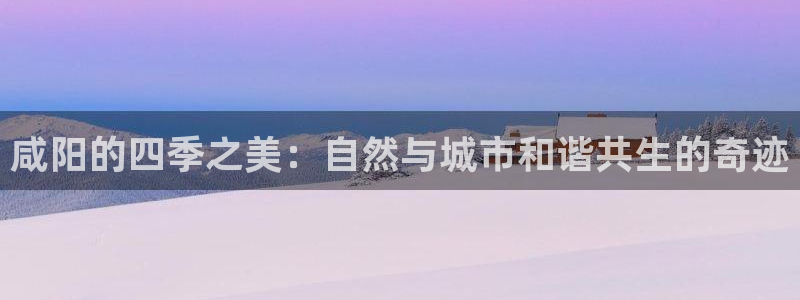 新宝gg 主管