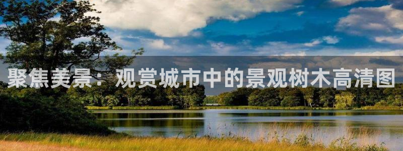 新浪新闻新宝gg