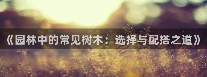 新宝gg娱乐平台