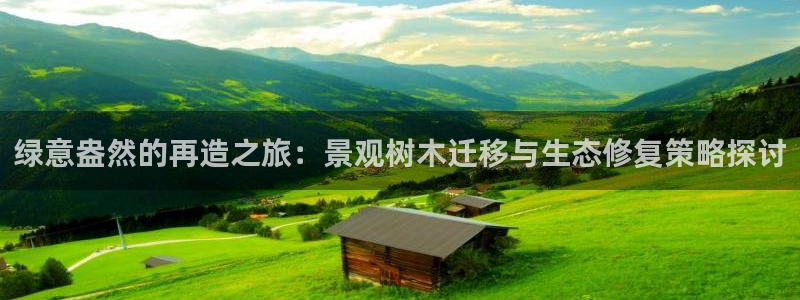 新宝gg试玩