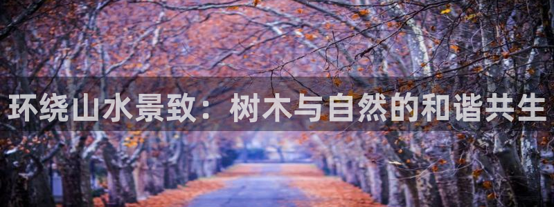 新宝gg开好