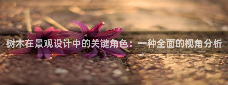 下载新宝gg