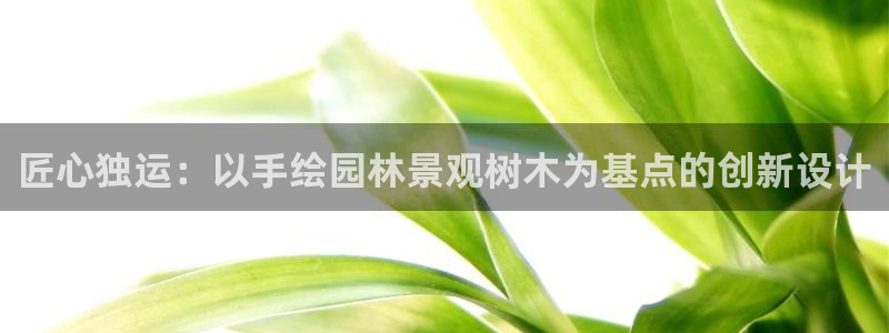 新宝gg — 创造!