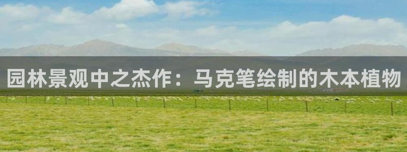 新宝gg测试