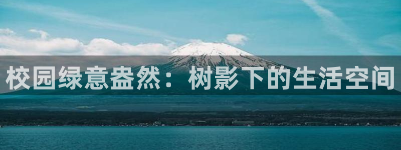新宝gg客户端下载