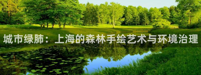 新宝gg如何做到总代理