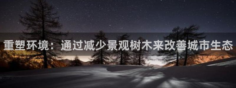 新宝gg平台开户