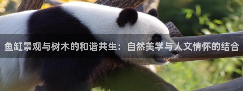 新宝gg平台反水：鱼缸景观与树木的和谐共生：自然美学与人文情怀的结合