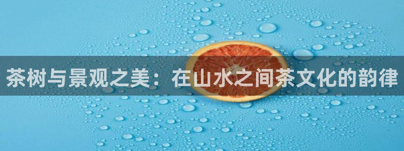 新宝gg客户端下载