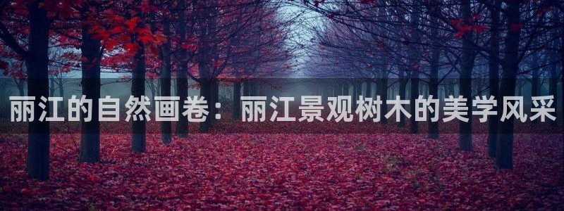 新宝GG无法充值