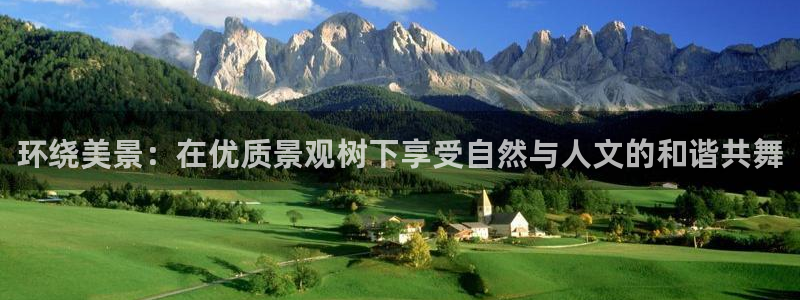 新宝gg--创：环绕美景：在优质景观树下享受自然与人文的和谐共舞