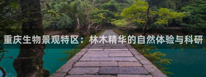 新宝gg平台连接
