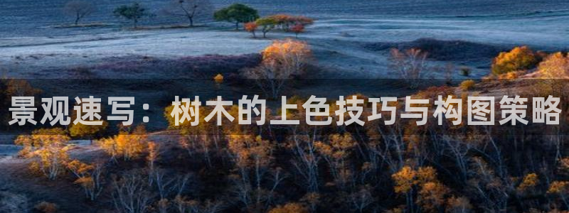 新宝gg代：景观速写：树木的上色技巧与构图策略