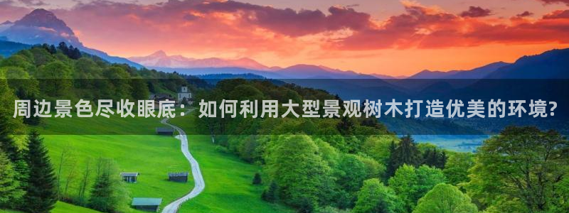 新宝gg会员