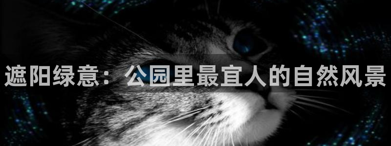 广东新宝电器gg