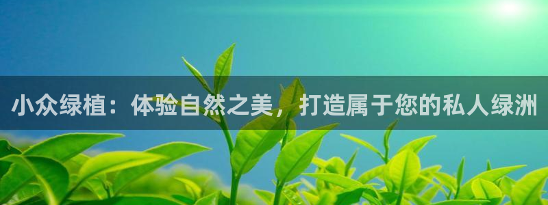 新宝gg娱乐-上鼎狐网