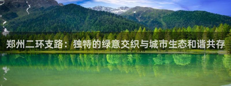 新宝gg介绍