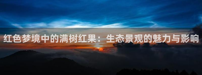 正版新宝gg