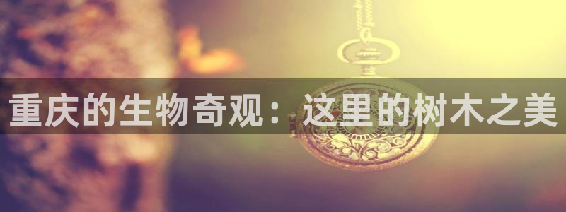 新宝gg玩法