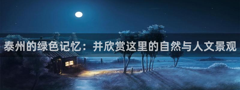 新宝GG槐78778