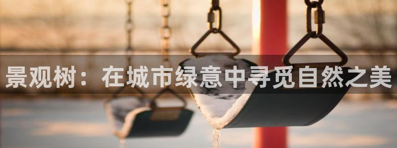 新宝gg登陆新
