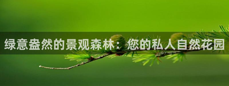 新宝GG上级