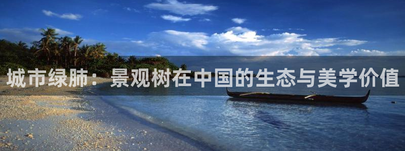 新宝gg套利