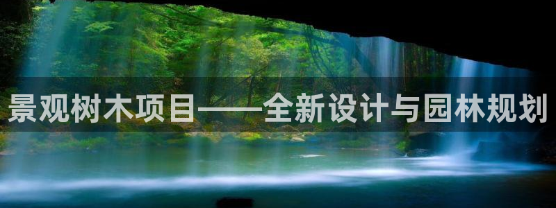 新宝Gg测速地址