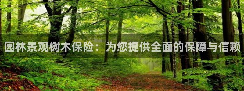 新浪新闻新宝gg