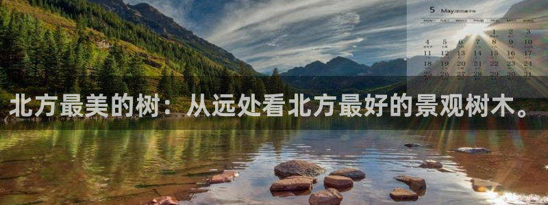 新宝gg创造奇迹登陆