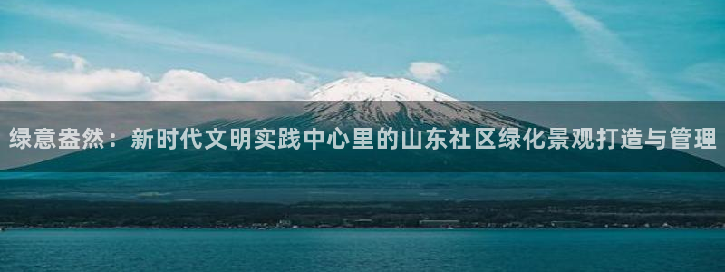 新宝gg平台开户