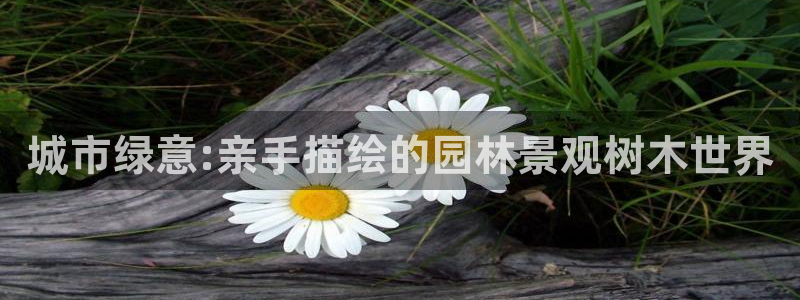 新宝gg作弊