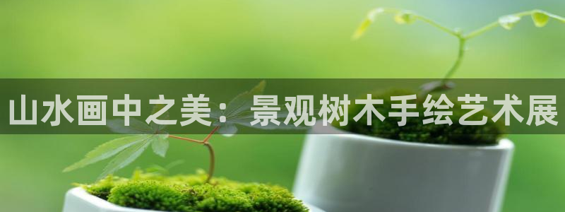 新宝gg创建奇迹