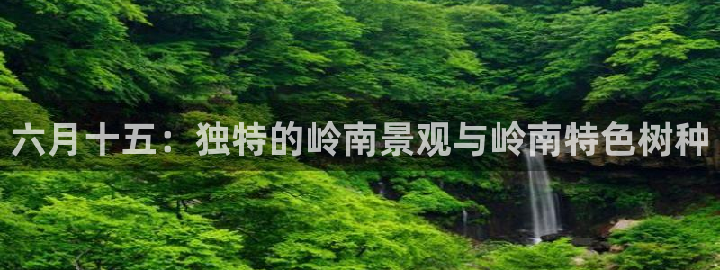 新宝gg如何