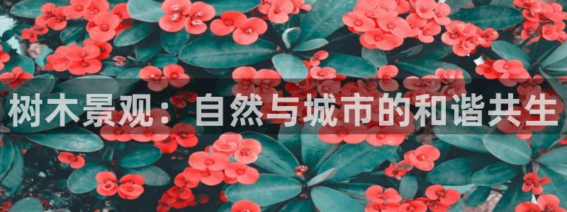 新宝gg游戏平台