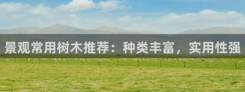 新宝gg 77848扣：景观常用树木推荐：种类丰富，实用性强