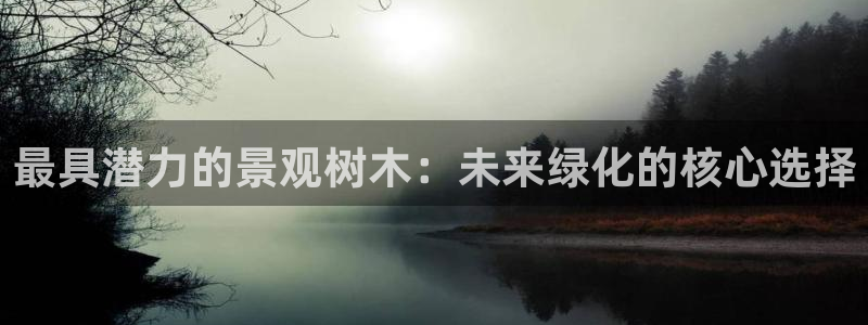 新宝gg--创：最具潜力的景观树木：未来绿化的核心选择