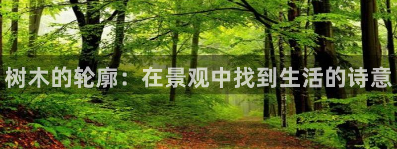 新宝GG网址新宝2