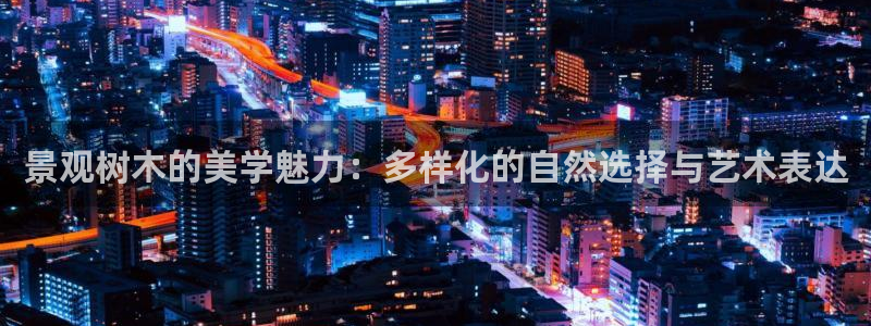 新宝gg官方