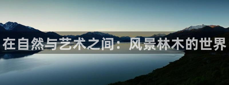 新宝gg平台开发