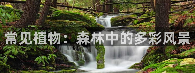 新宝gg   创造奇迹