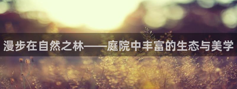 新宝gg走势
