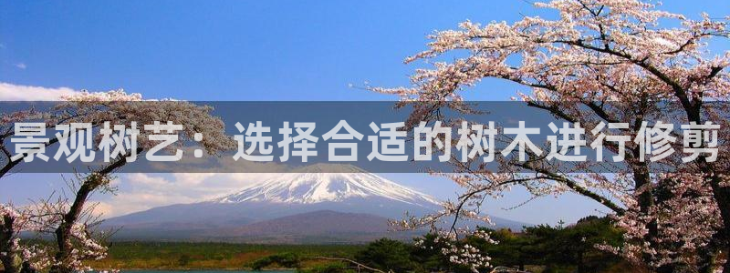 新宝gg1956登陆