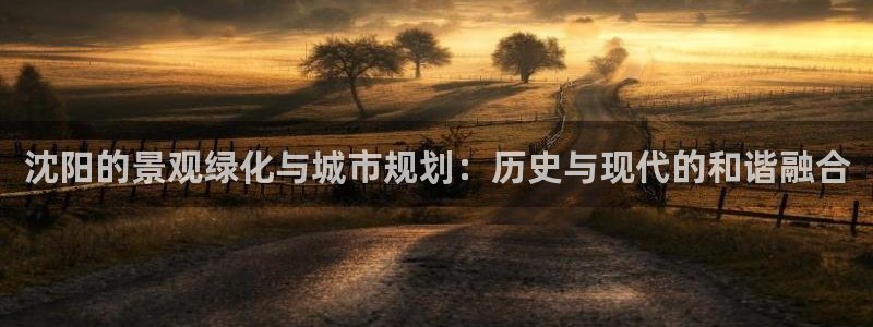 新宝gg怎么开户