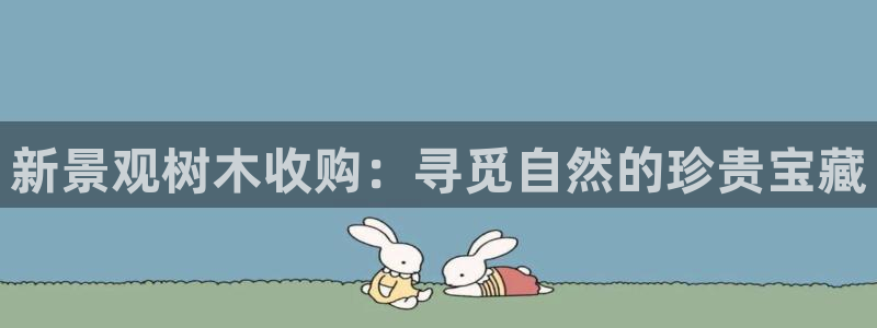 新宝gg 平台怎么样