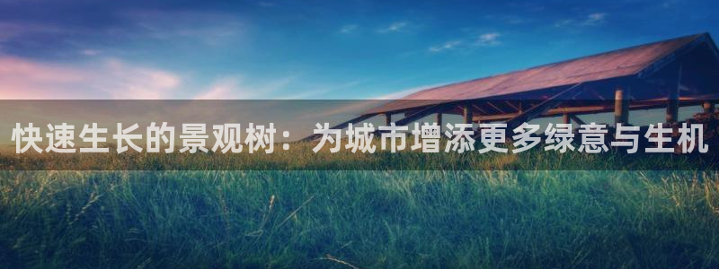 新宝gg — 创造!：快速生长的景观树：为城市增添更多绿意与生机