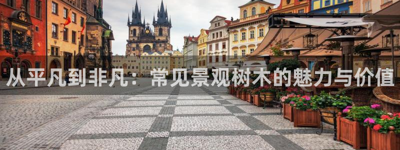 新宝gg开奖