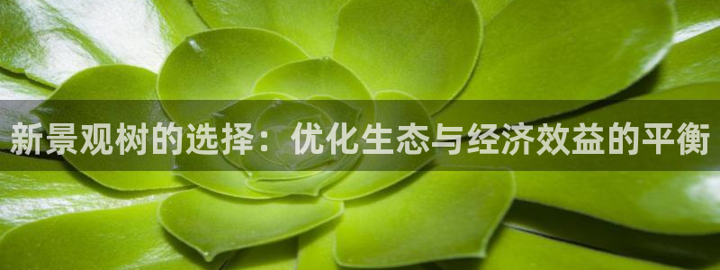 新宝GG股东：新景观树的选择：优化生态与经济效益的平衡