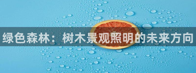 新宝gg如何做到总代理