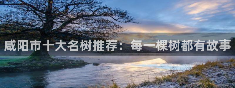 新宝gg申请账号